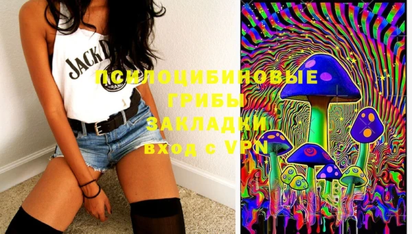 марки lsd Горно-Алтайск