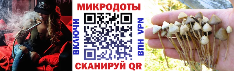Галлюциногенные грибы мухоморы  Купить закладки  Тайга 