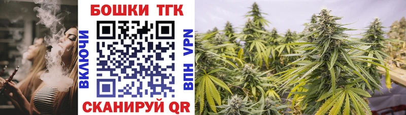Купить  Тайга  Бошки Шишки сатива 